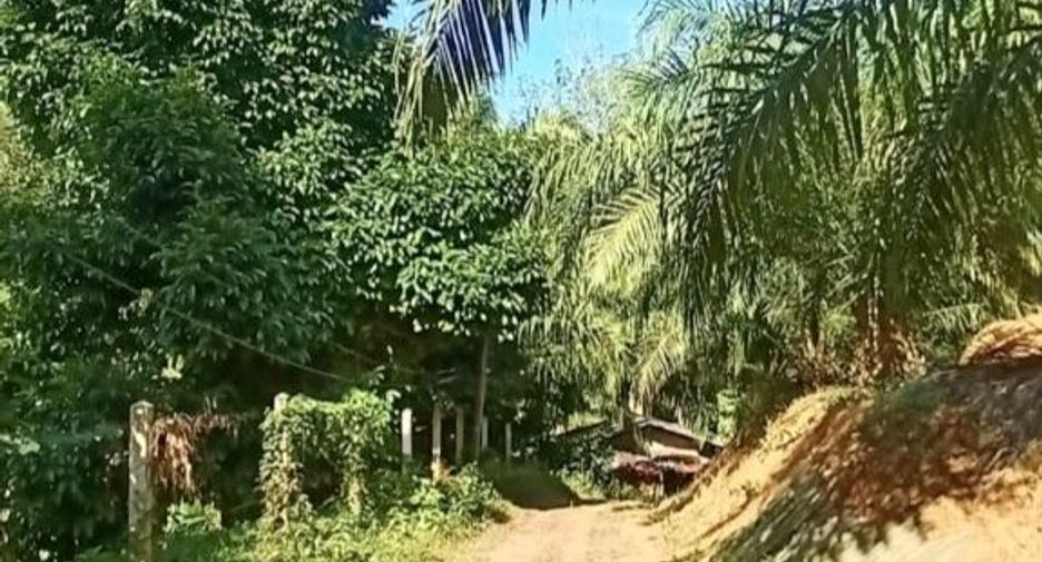 For sale land in Takua Thung, Phang Nga