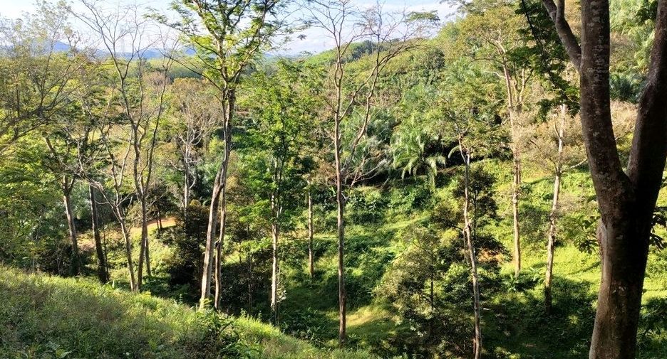 For sale land in Takua Thung, Phang Nga