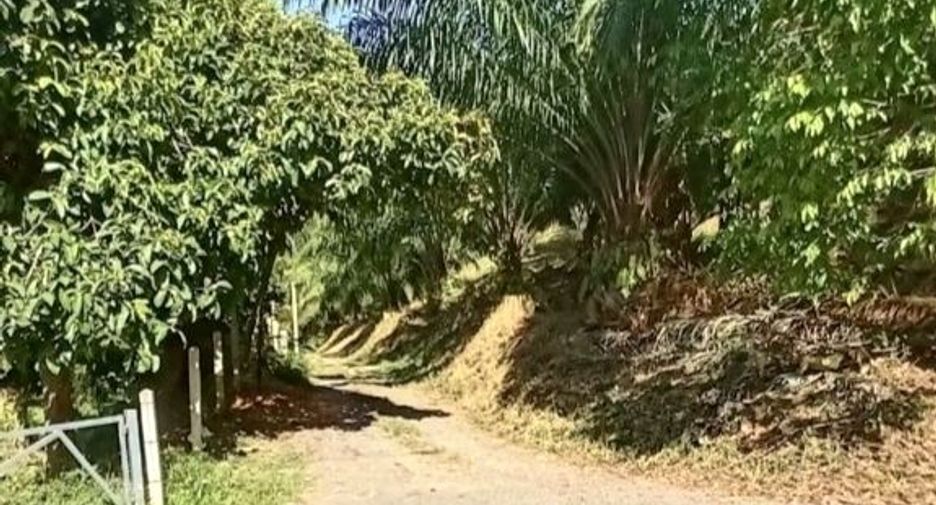 For sale land in Takua Thung, Phang Nga