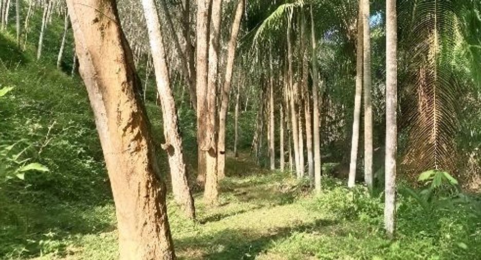 For sale land in Takua Thung, Phang Nga
