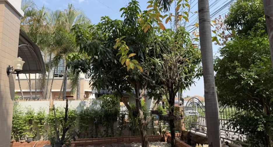 出售 3 卧室 独立屋 在 Mueang Khon Kaen, Khon Kaen