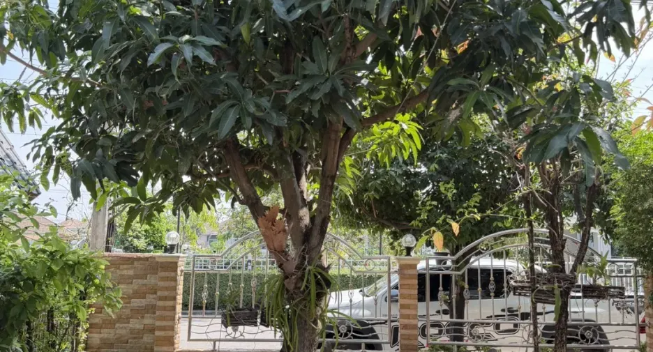 出售 3 卧室 独立屋 在 Mueang Khon Kaen, Khon Kaen
