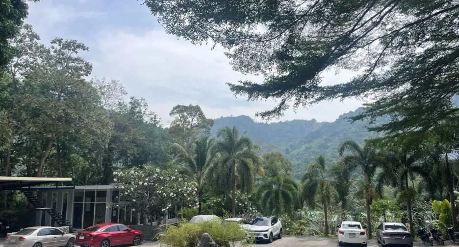 Wohnung zum Kauf und zur Miete mit 1 Zimmer in Kathu, Phuket