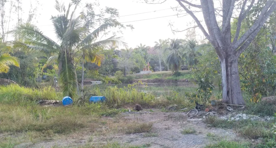For rent 1 bed house in Mueang Krabi, Krabi