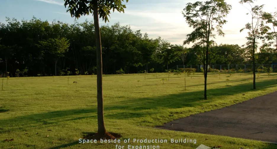 For sale land in Khao Chamao, Rayong