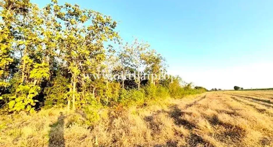 For sale land in Takhli, Nakhon Sawan