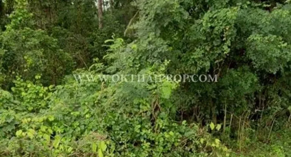 For sale land in Takhli, Nakhon Sawan