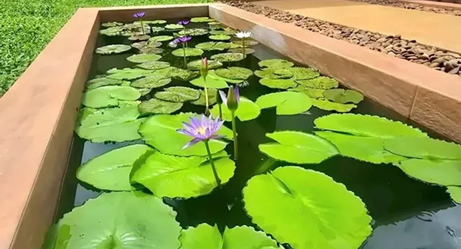 For sale 4 bedrooms villa in Hua Hin, Prachuap Khiri Khan