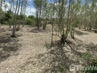 For sale land in Khao Yoi, Phetchaburi