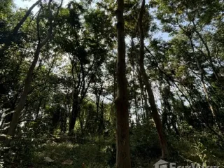 For sale land in Khao Yoi, Phetchaburi