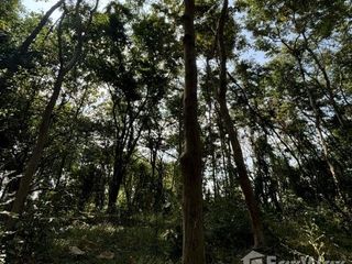 For sale land in Khao Yoi, Phetchaburi