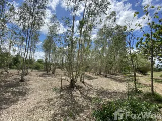 For sale land in Khao Yoi, Phetchaburi