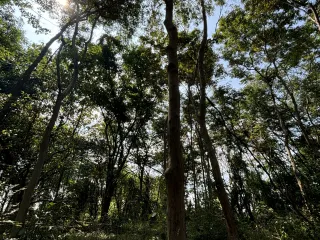 For sale land in Khao Yoi, Phetchaburi