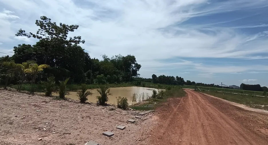 À vendre 3 chambres maison à Phanat Nikhom, Chonburi