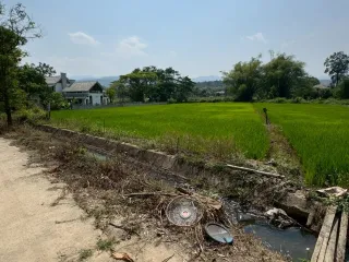 出售 土地 在 Mae Rim, Chiang Mai