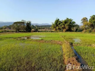出售 土地 在 Mae Rim, Chiang Mai