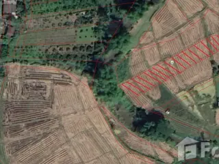 出售 土地 在 Mae Rim, Chiang Mai