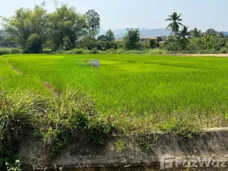 出售 土地 在 Mae Rim, Chiang Mai