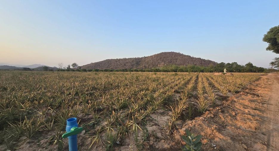 Grundstück zum Kauf in Pran Buri, Prachuap Khiri Khan
