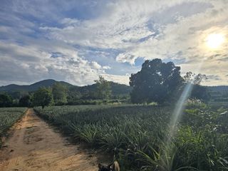 Grundstück zum Kauf in Pran Buri, Prachuap Khiri Khan