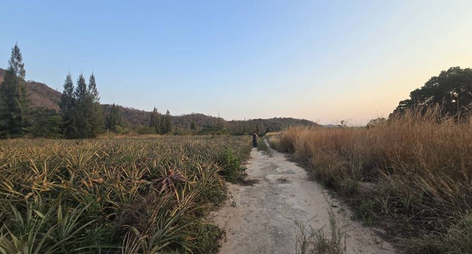 Grundstück zum Kauf in Pran Buri, Prachuap Khiri Khan