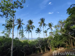 Grundstück zum Kauf in Ko Samui, Surat Thani