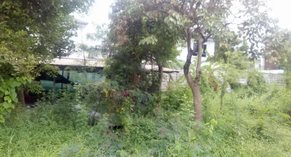 For sale land in Khlong Sam Wa, Bangkok
