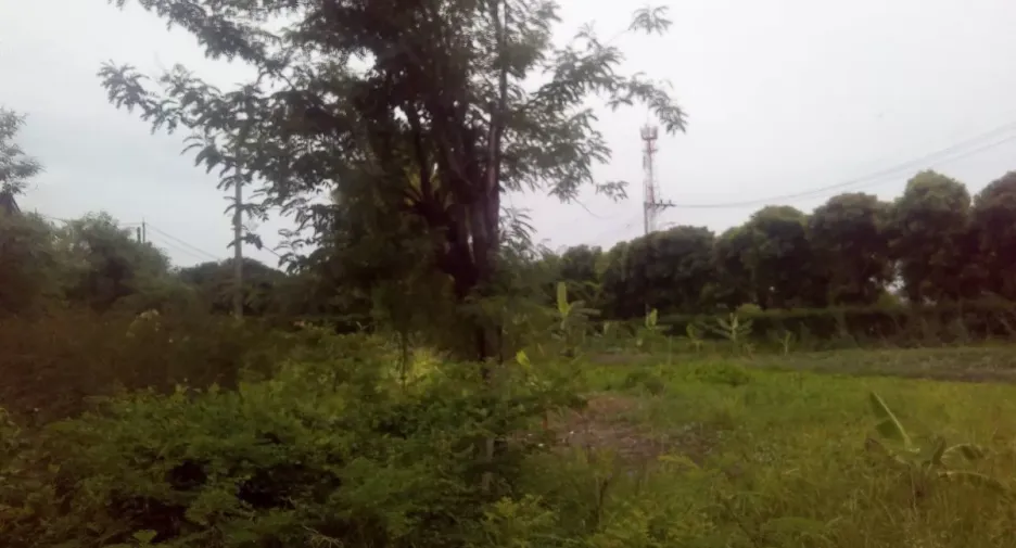 For sale land in Khlong Sam Wa, Bangkok