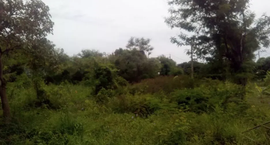 For sale land in Khlong Sam Wa, Bangkok