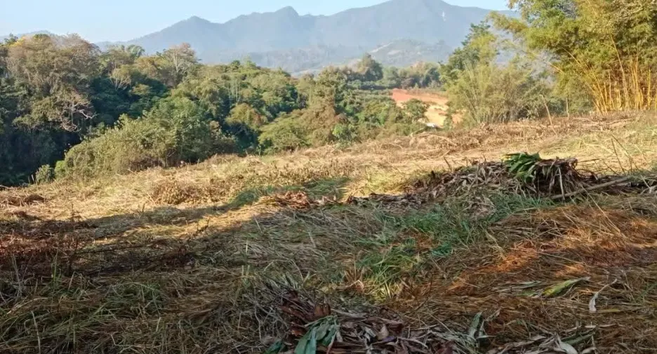 Terreno en venta en Fang, Chiang Mai