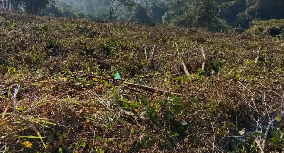 Terreno en venta en Fang, Chiang Mai