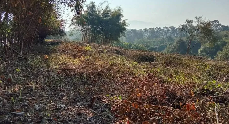 Terreno en venta en Fang, Chiang Mai