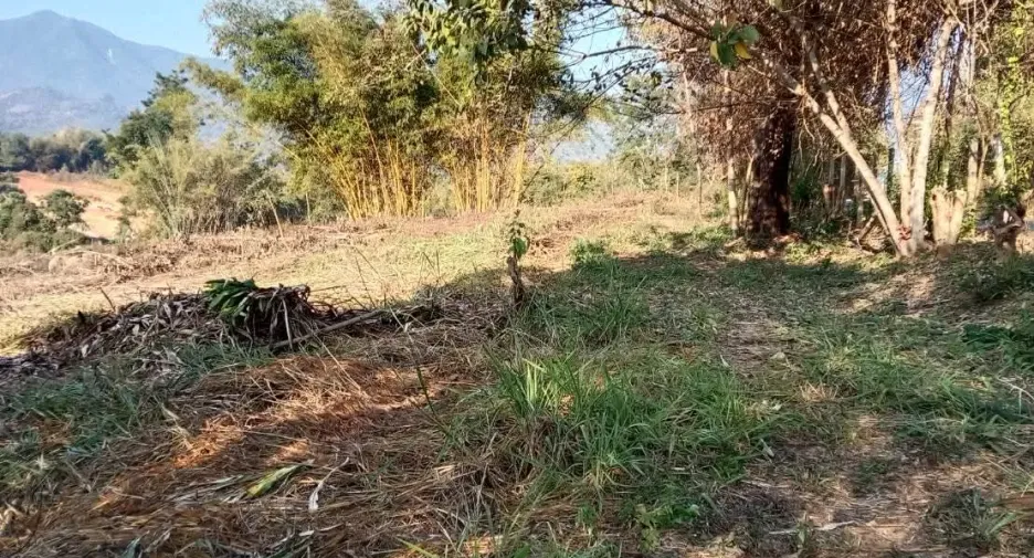 Terreno en venta en Fang, Chiang Mai