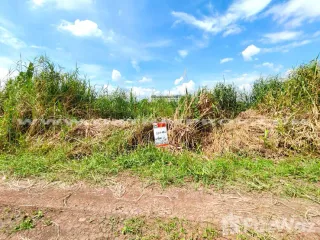 For sale land in Lat Lum Kaeo, Pathum Thani