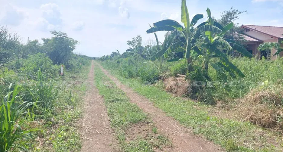 Grundstück zum Kauf in Lat Lum Kaeo, Pathum Thani