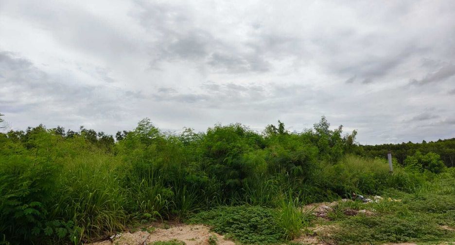 Grundstück zum Kauf in Bang Lamung, Chonburi
