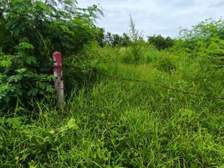 Grundstück zum Kauf in Bang Lamung, Chonburi