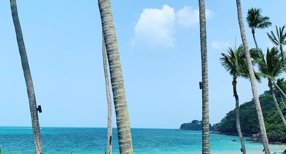 For sale and for rent 3 bedrooms villa in Ko Samui, Surat Thani