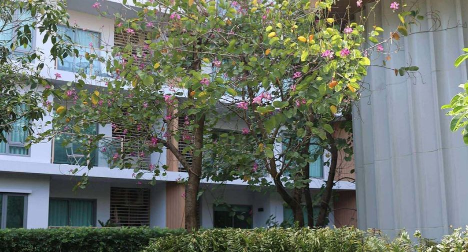 For rent 1 bed condo in Mueang Phuket, Phuket