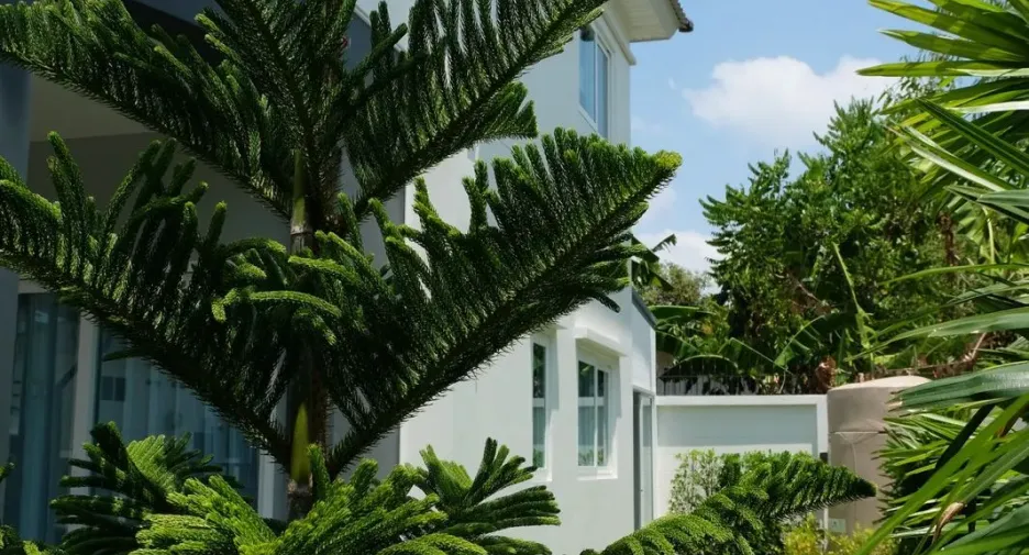 For rent 3 ベッドルーム house in Mueang Phuket, Phuket