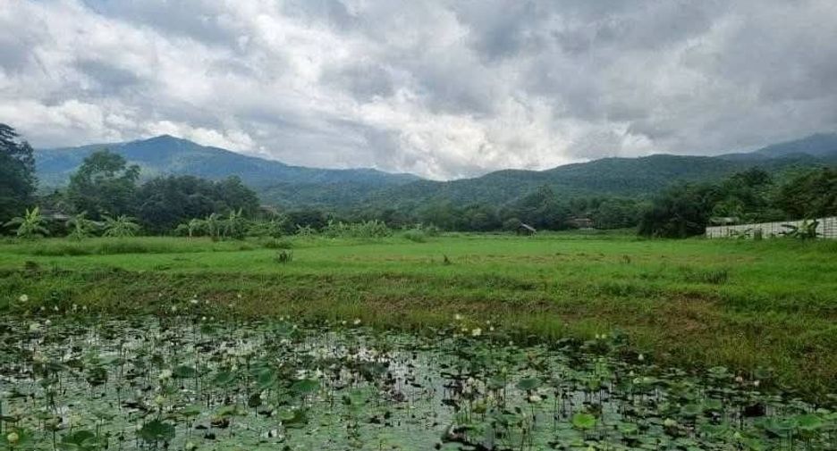 Grundstück zum Kauf in Mae Rim, Chiang Mai