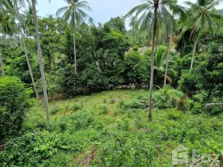 For sale land in Khanom, Nakhon Si Thammarat