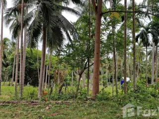 For sale land in Khanom, Nakhon Si Thammarat