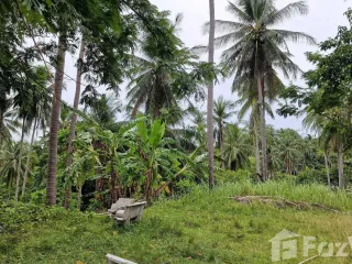 For sale land in Khanom, Nakhon Si Thammarat