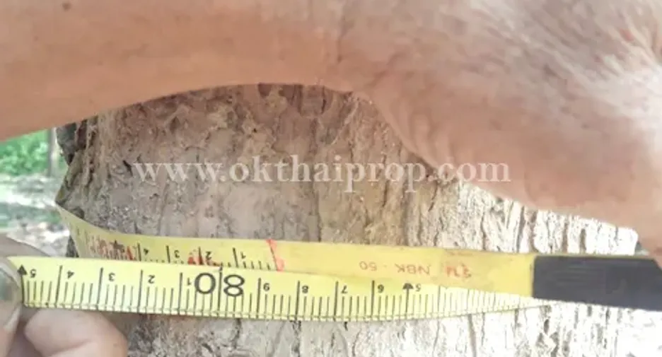 For sale land in Ko Kha, Lampang