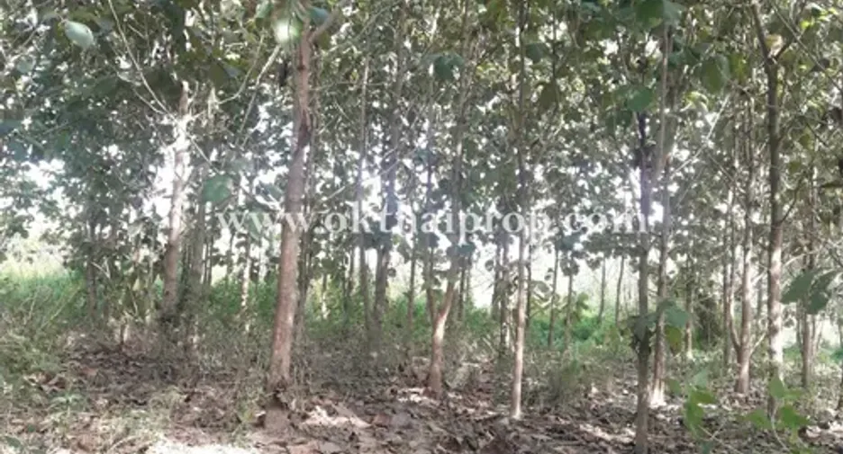 For sale land in Ko Kha, Lampang