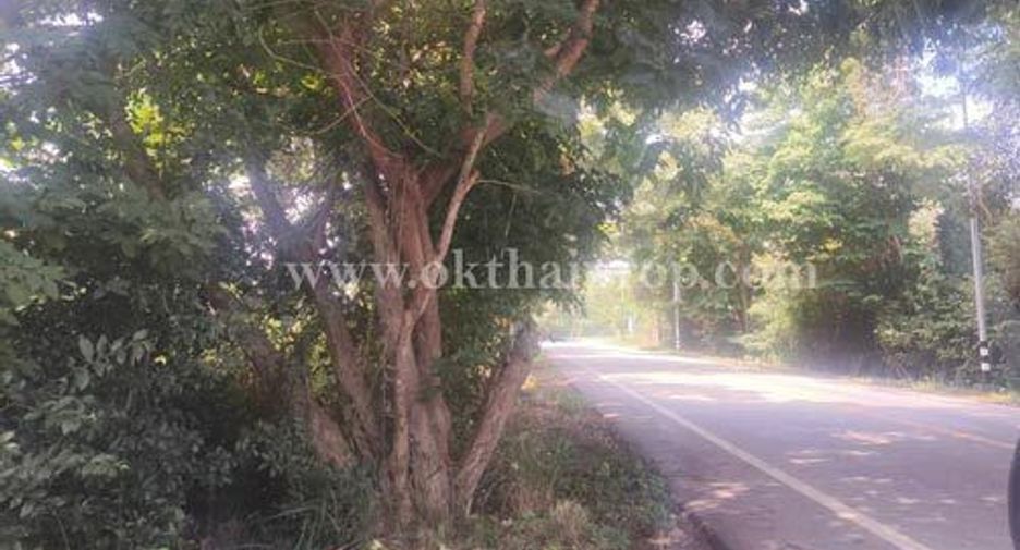 For sale land in Phanat Nikhom, Chonburi