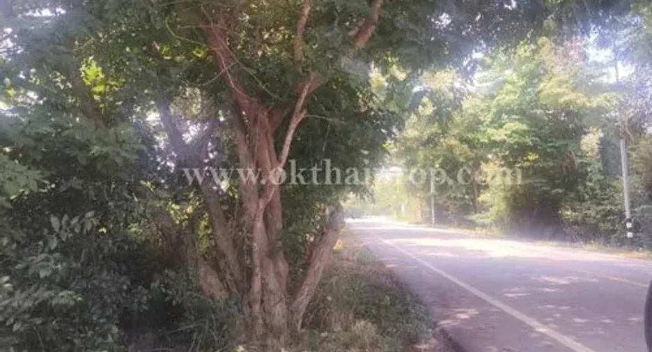For sale land in Phanat Nikhom, Chonburi
