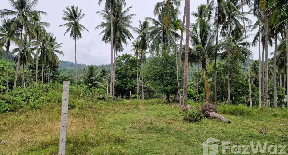 For sale land in Khanom, Nakhon Si Thammarat