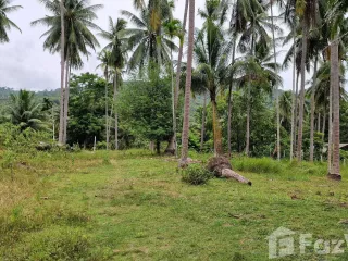 For sale land in Khanom, Nakhon Si Thammarat